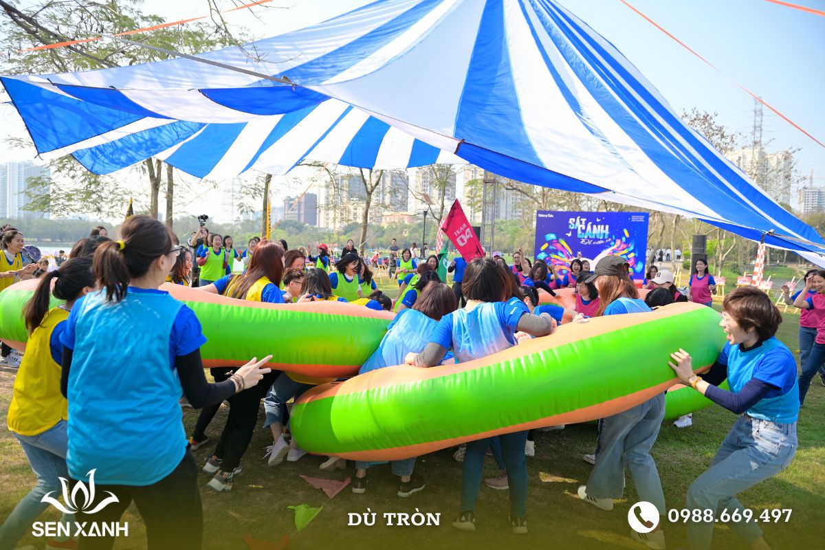 Sen Xanh cho thuê đa dạng kích thước dù tròn