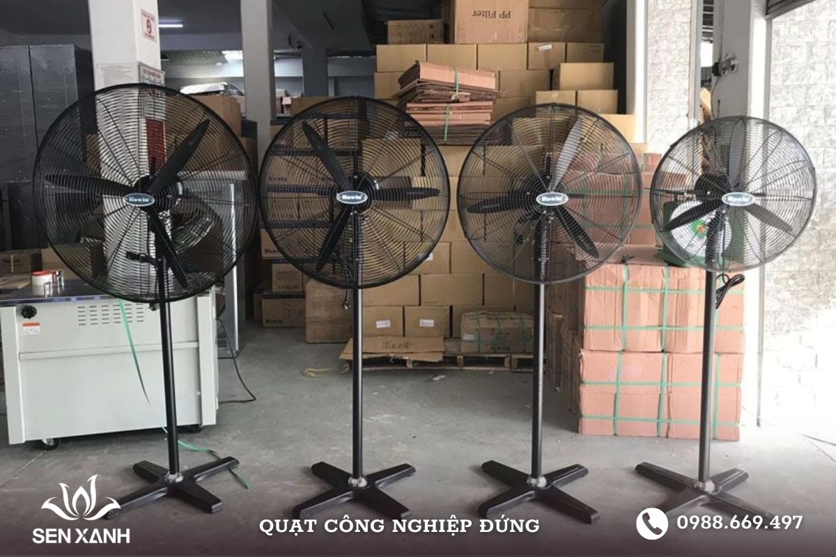 Trải nghiệm chất lượng dịch vụ và sản phẩm tốt nhất Trải nghiệm chất lượng dịch vụ và sản phẩm tốt nhất