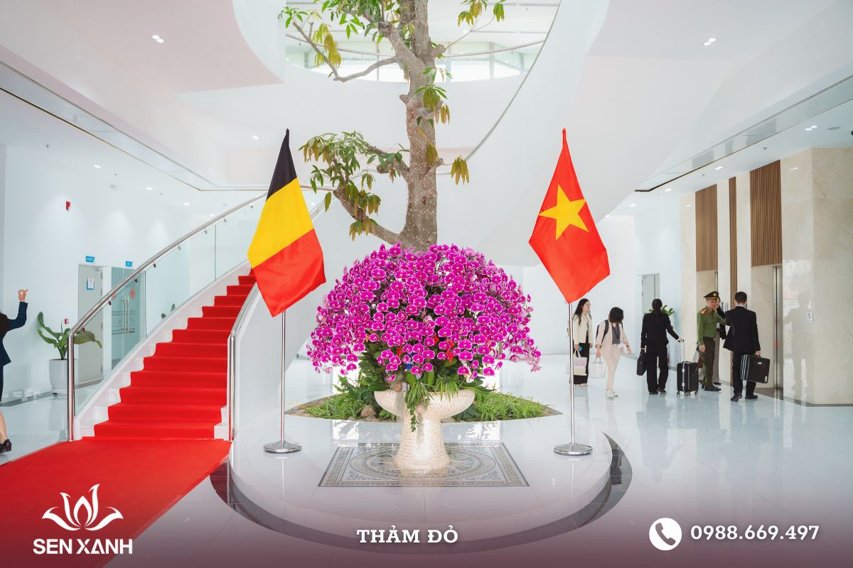 Thảm đỏ trong sự kiện đón tiếp hoàng gia Bỉ